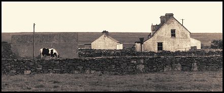 Photo of farm buildings with a cow grazing in the foreground.