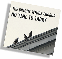 Cover of No Time To Tarry CD